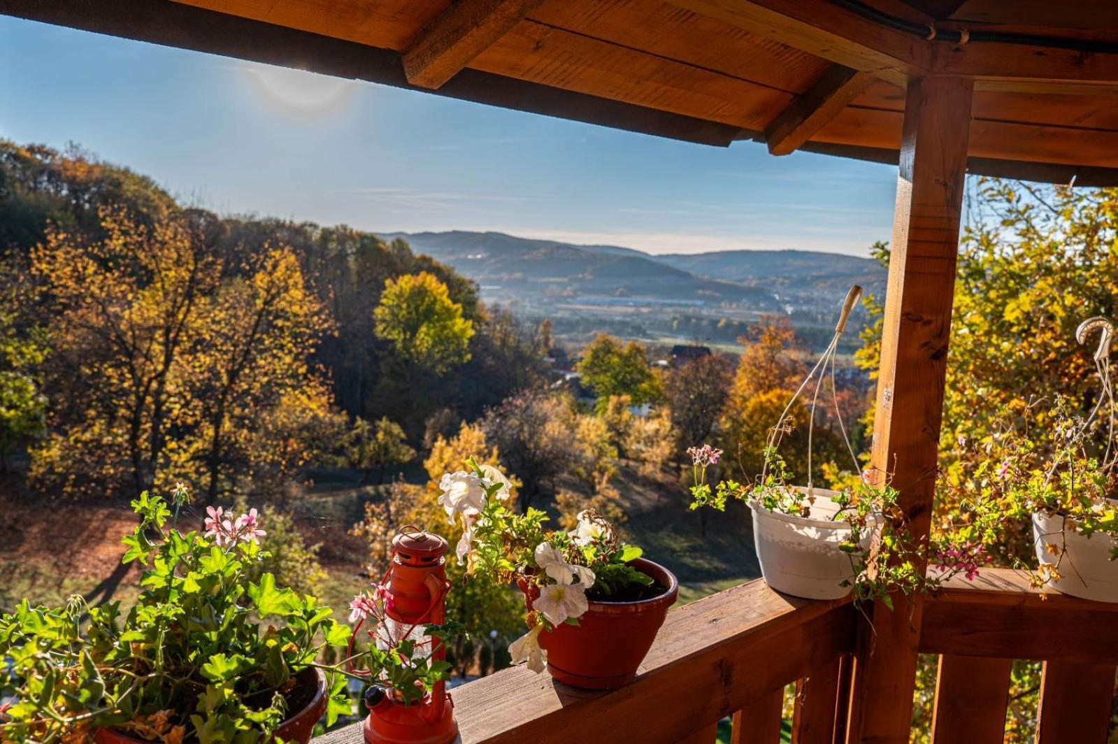 Apartamento La Maria si Ioana Curtea de Argeş Exterior foto