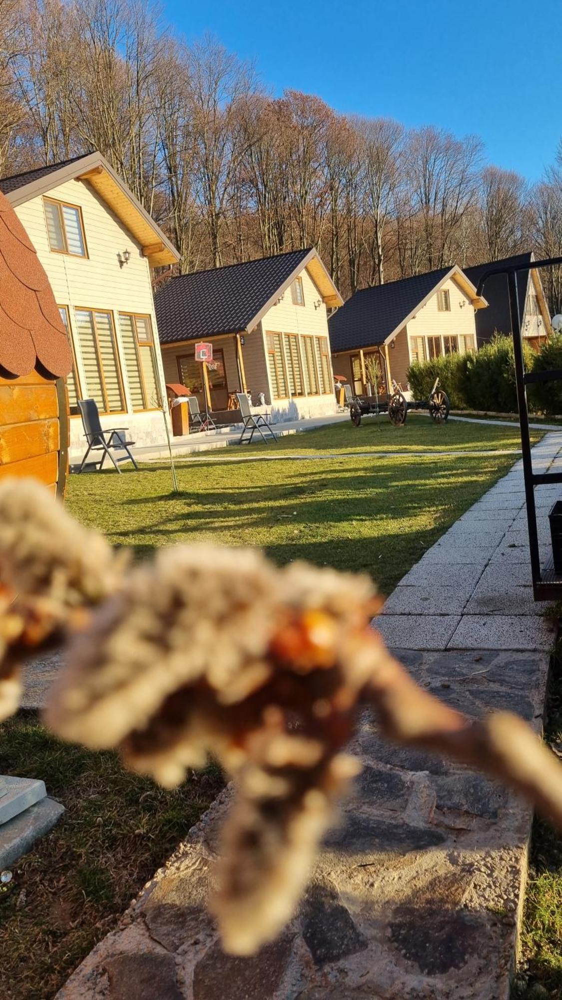 Apartamento La Maria si Ioana Curtea de Argeş Exterior foto